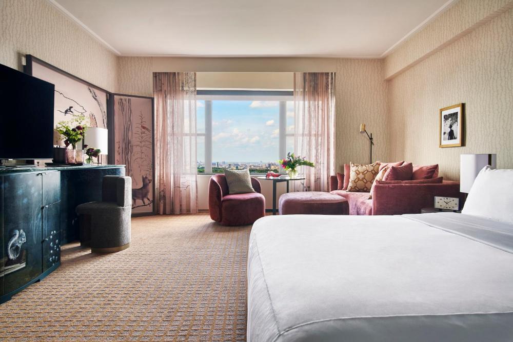 Park View Studio Suite interior